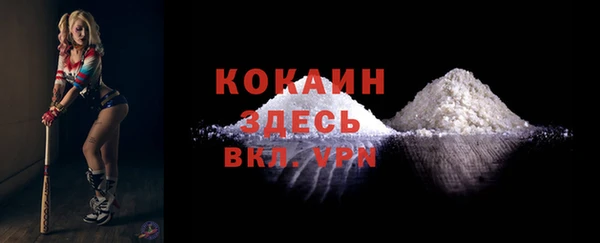 тгк Верея