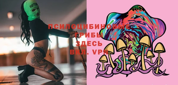индика Бронницы