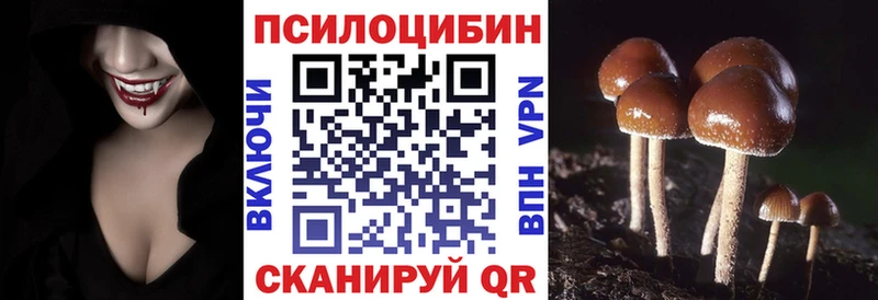 купить наркотики сайты  Дно  Галлюциногенные грибы Psilocybe 