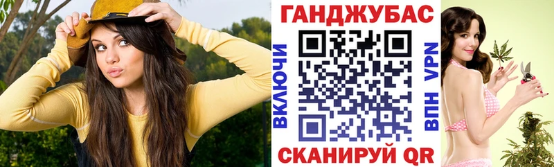 где можно купить   Дно  Конопля марихуана 